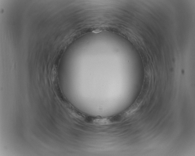 X0000073450133200607281016