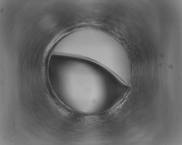 X0000073450150200607281015