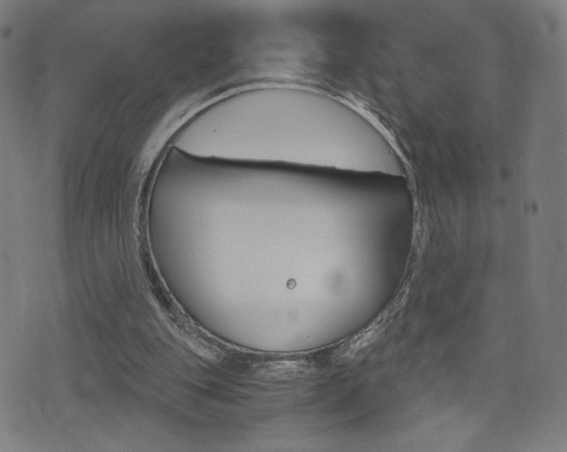 X0000073450151200607281015