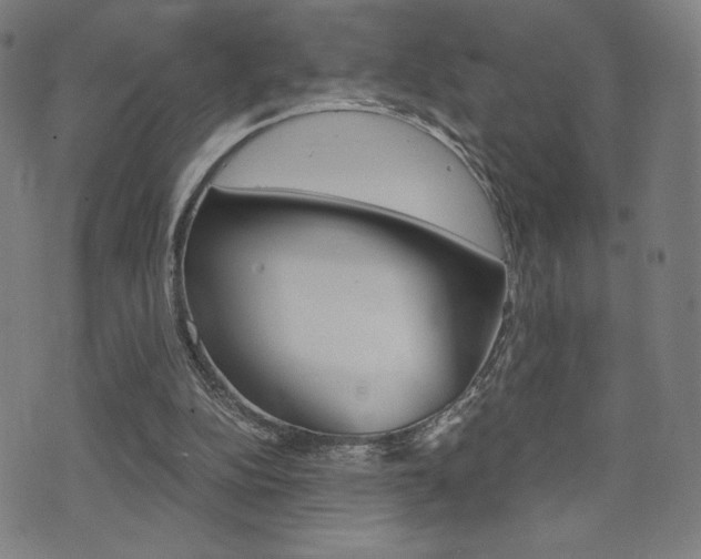 X0000073450152200607281015