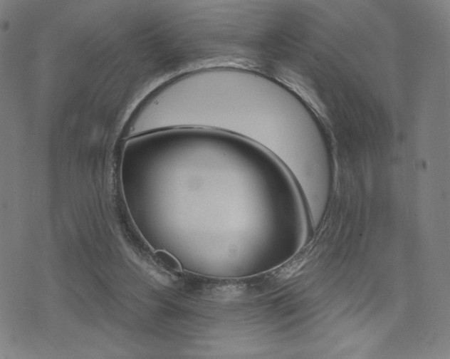 X0000073450156200607281015