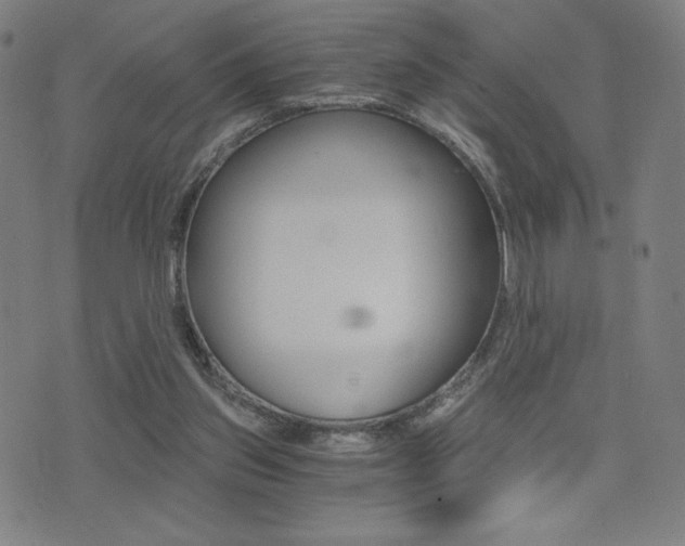 X0000073450157200607281015