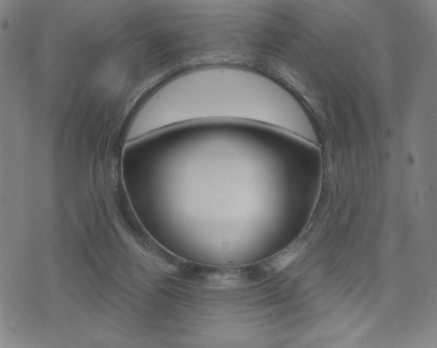X0000073450164200607281015
