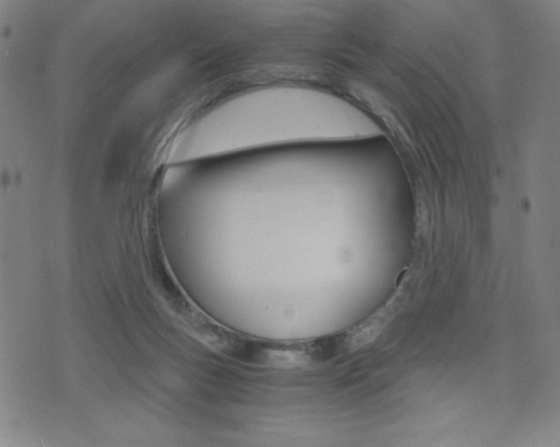 X0000073450167200607281015