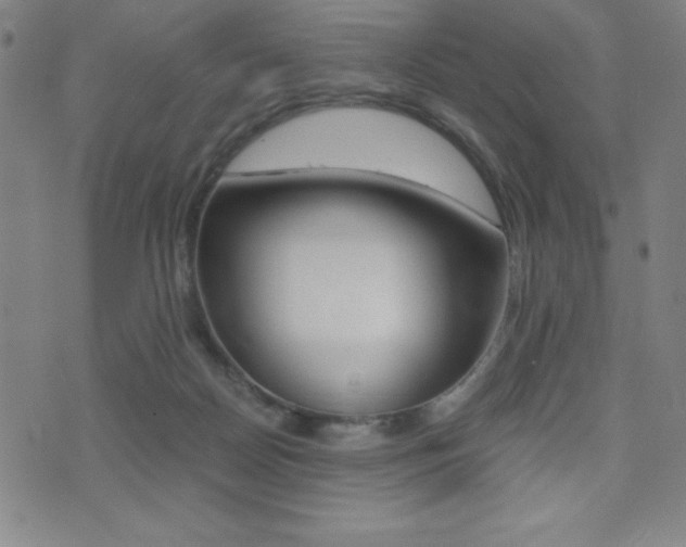 X0000073450170200607281015
