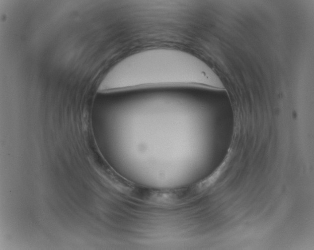 X0000073450174200607281015