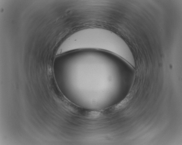 X0000073450176200607281015