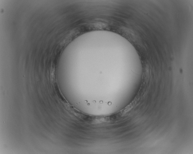 X0000073450177200607281015