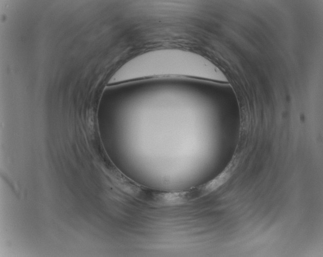 X0000073450184200607281015