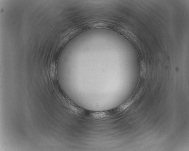 X0000073450189200607281015
