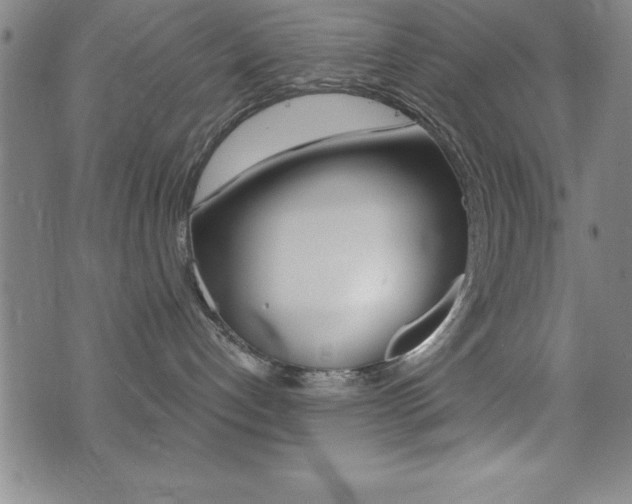 X0000073450192200607281015