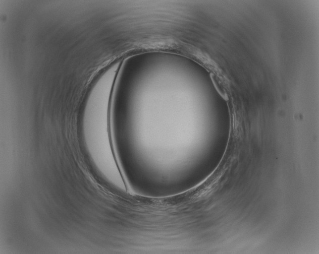 X0000073450201200607281015