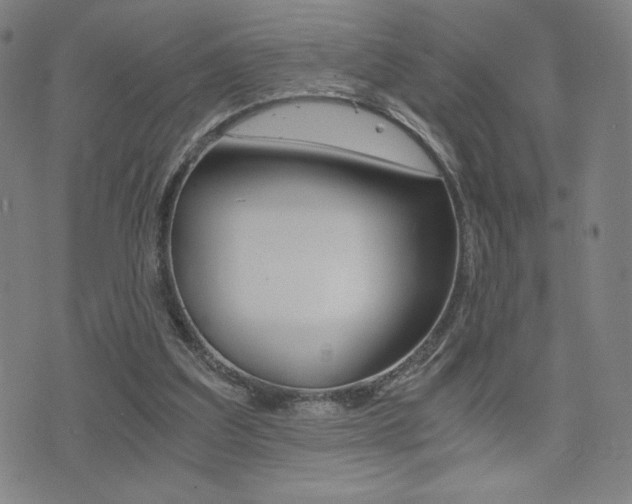 X0000073450203200607281015