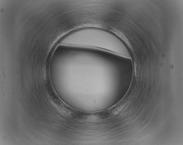 X0000073450204200607281015