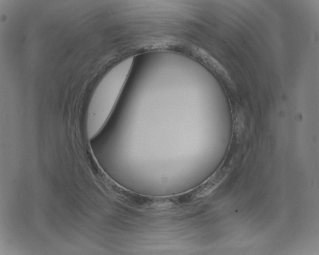 X0000073450209200607281014