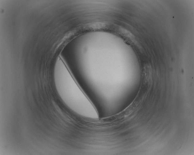 X0000073450212200607281014
