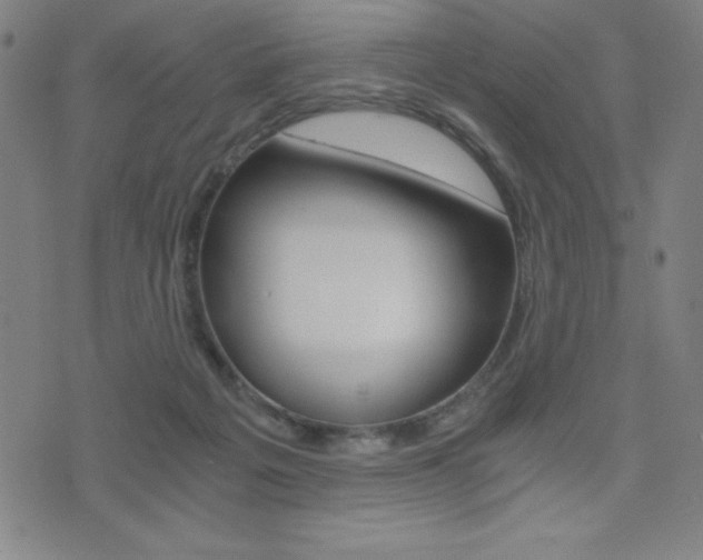 X0000073450217200607281014