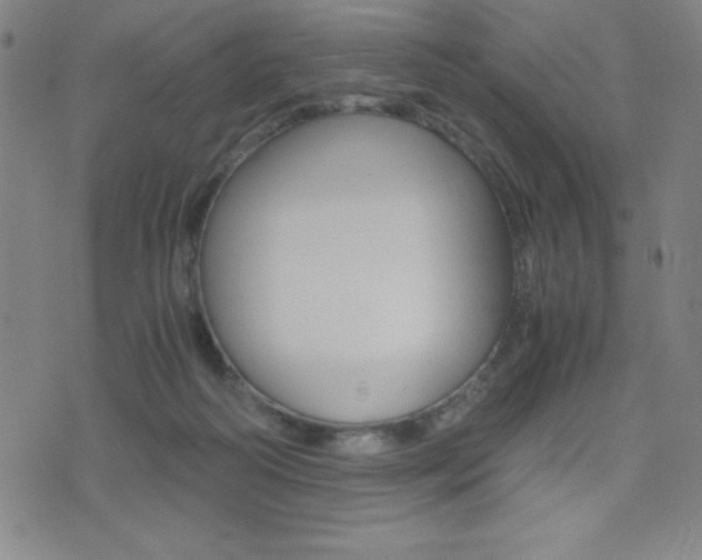 X0000073450218200607281014