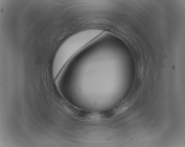 X0000073450219200607281014
