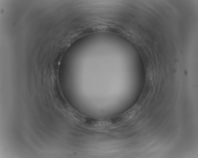 X0000073450223200607281014