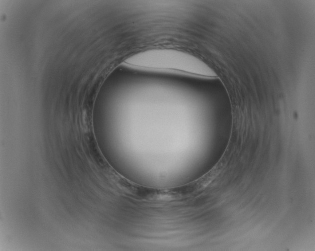 X0000073450224200607281014