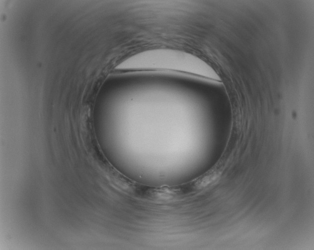 X0000073450229200607281014
