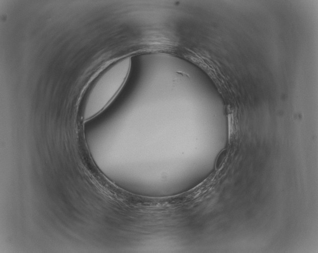 X0000073450243200607281013