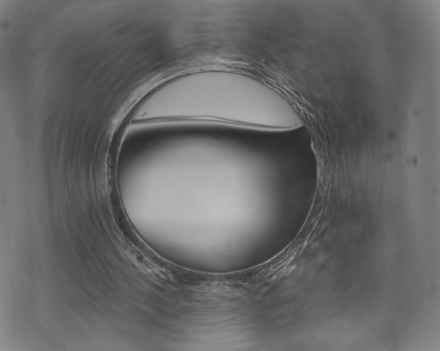 X0000073450244200607281013
