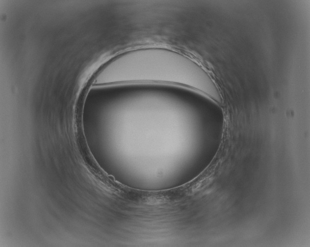 X0000073450248200607281013