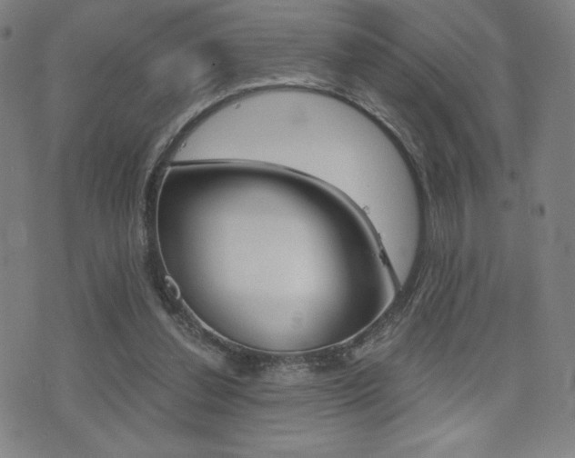 X0000073450252200607281013