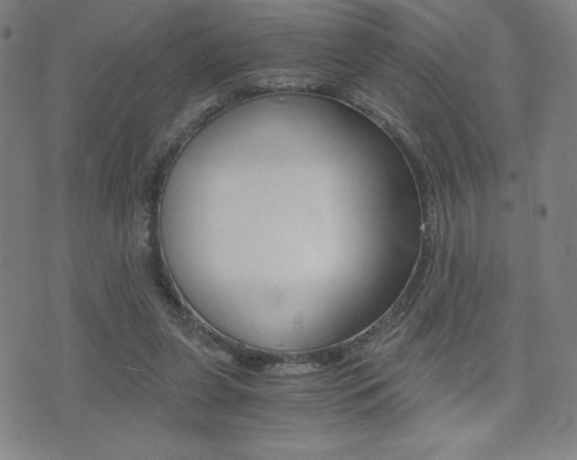 X0000073450255200607281013