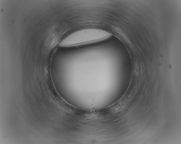 X0000073450259200607281013