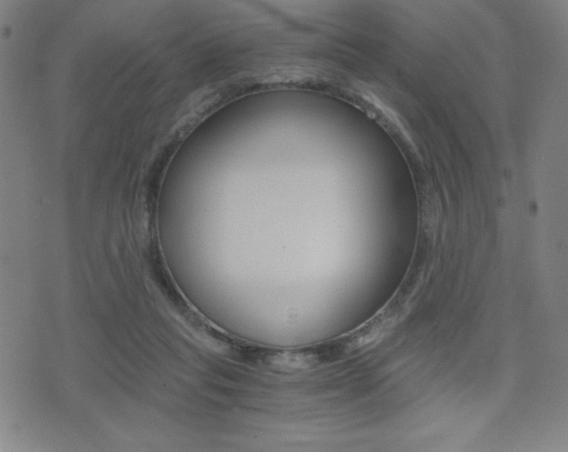X0000073450261200607281013