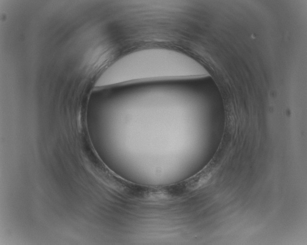 X0000073450262200607281013