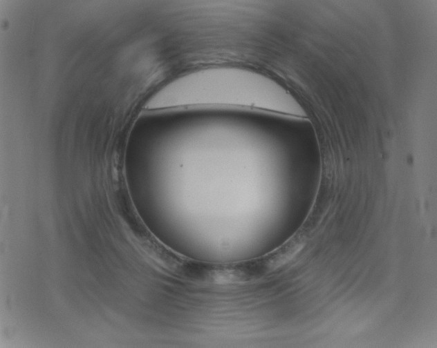 X0000073450264200607281014