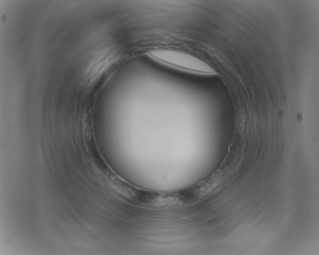 X0000073450270200607281014