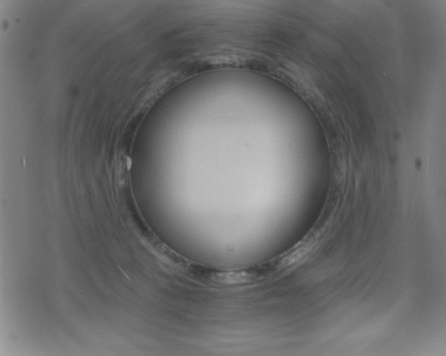 X0000073450273200607281014