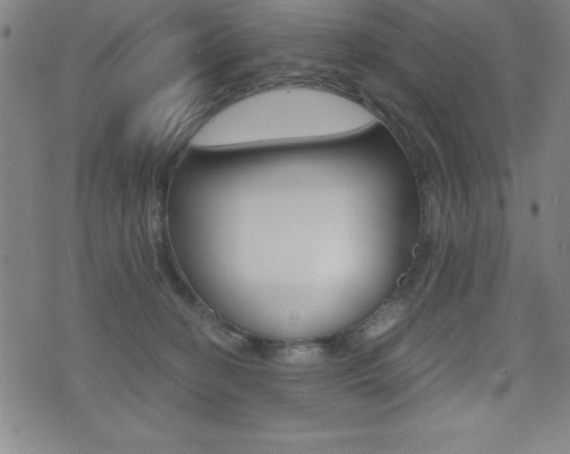 X0000073450274200607281014