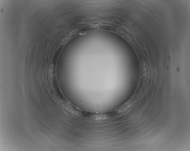 X0000073450275200607281014
