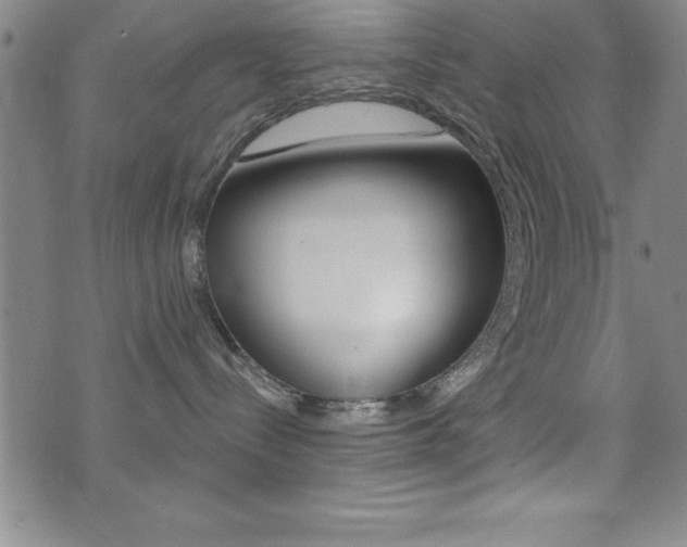 X0000073450288200607281014