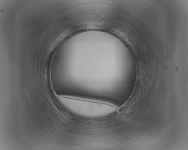 X0000073450299200607281013