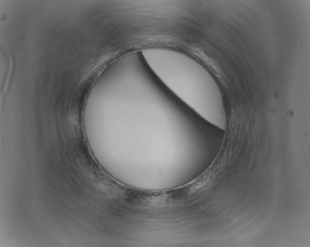 X0000073450306200607281013