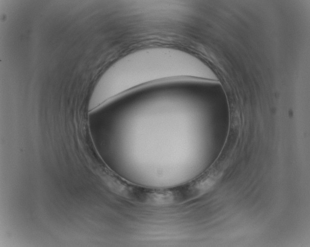 X0000073450317200607281013