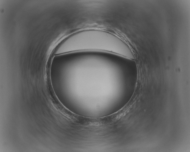 X0000073450344200607281012
