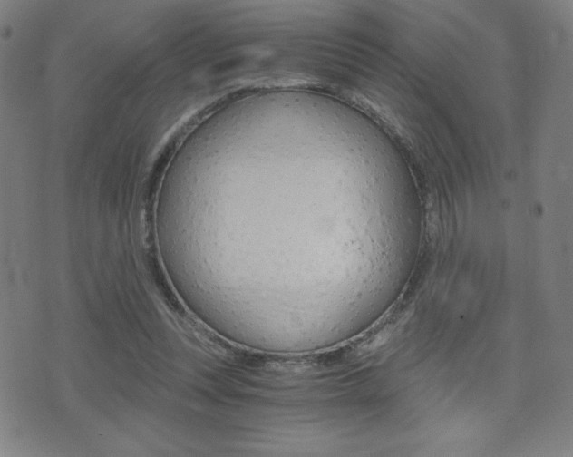 X0000073450351200607281012
