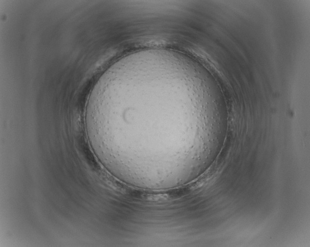 X0000073450355200607281012