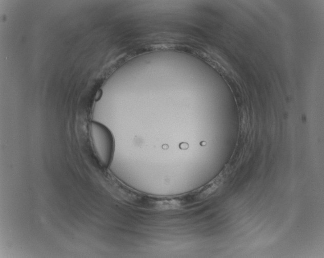 X0000073450363200607281012
