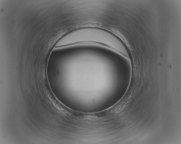 X0000073450393200607281011