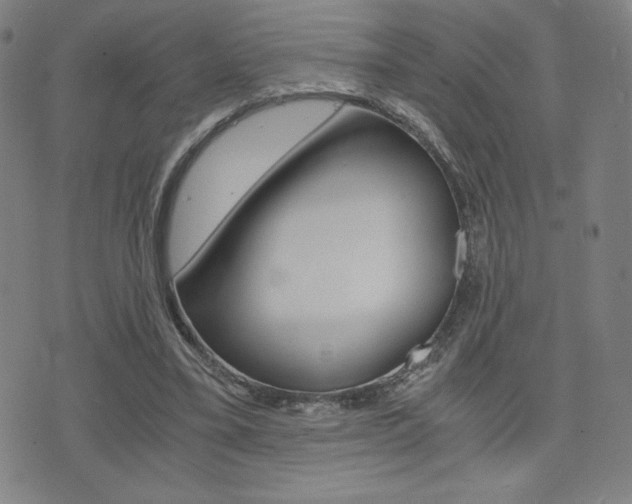 X0000073450395200607281011