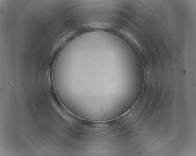 X0000073450398200607281011
